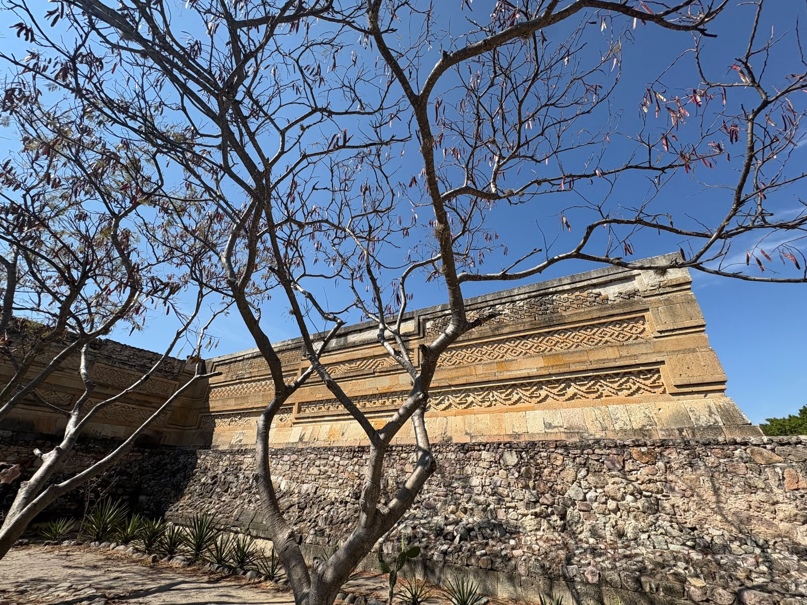 Ruta 7: Ruta Mitla Corto: Historia y Símbolos de Valles 2